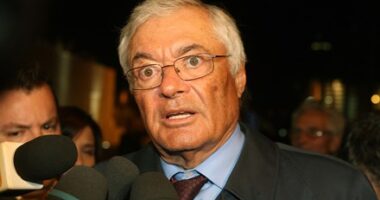 Notas Soltas Sobre a Atribulada Vida Leonina (Mesmo em Tempos de Paz)