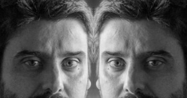 Cunha(do)s, Aves de Rapina e Bananas