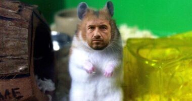 Senhor Presidente do Conselho de Administração, peça a demissão