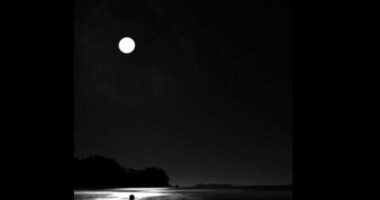 Sportinguista da treta