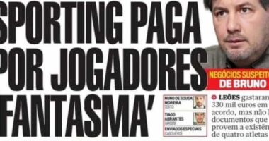 O ingénuo leão e as batucadas na televisão