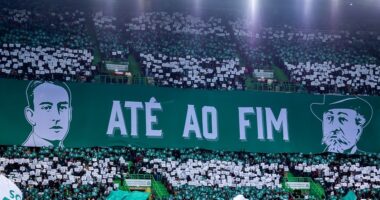 Facções: Vários Géneros de Sportinguistas