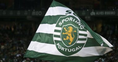 Sobre a zona de conforto do Leão