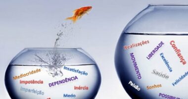 5 anos que mudaram o paradigma – Parte I