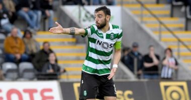 A galinha dos ovos de ouro