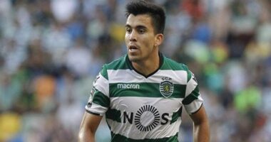 Vem aí mais uma borla