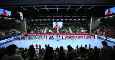 A Semana das Modalidades: Leoas com Garra!