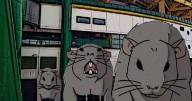 A Rataria do Campo Grande