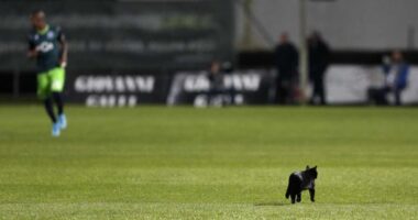 Teorias da Conspiração