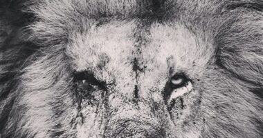 Varandas, és tu ou nós!