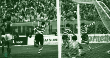 Por 7 vezes se vingou o leão