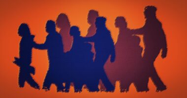 Ensaio Sobre a Cegueira Leonina