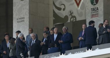 Os herdeiros de Alcovid