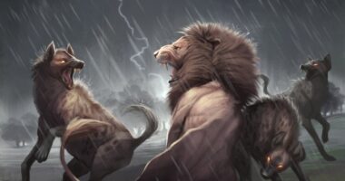 Acordem LEÕES e LEOAS