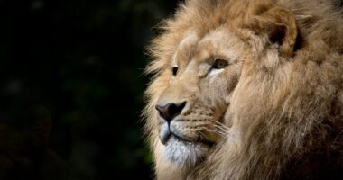 Adeus 2019, Olá 2020!