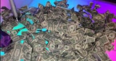 As desventuras de William Carvalho