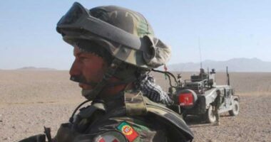 O Herói de Kandahar, Frederico, vai juntar-se aos talibãs no Afeganistão