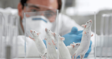 O Esgoto Comportamental