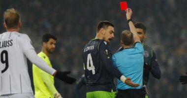 Sila(da) austríaca desmonta um frágil leão