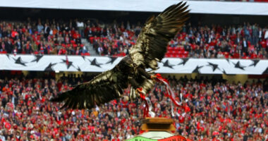 Polícia Judiciária investiga título do Benfica 2015/16, por suspeitas de corrupção – Notícia rtp