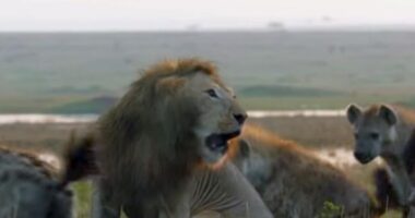 Balanço <span style='font-size:16px'>(do melhor ano de sempre)</span>