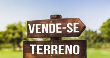 Regulamento da Assembeia Geral – II (ou como retirar poder aos sócios ou como é que se vende uma SAD sem precisar de deixar as VMOCs vencerem)