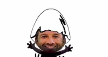O Calimero
