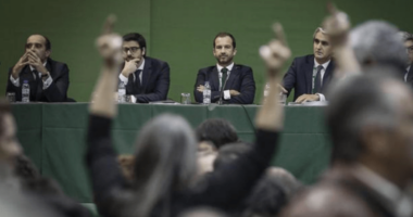 Democracia Leonina