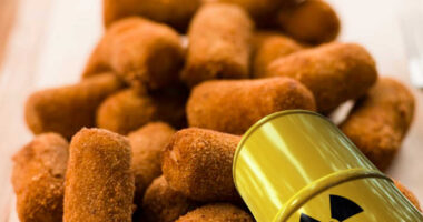 O Bicho Croquete